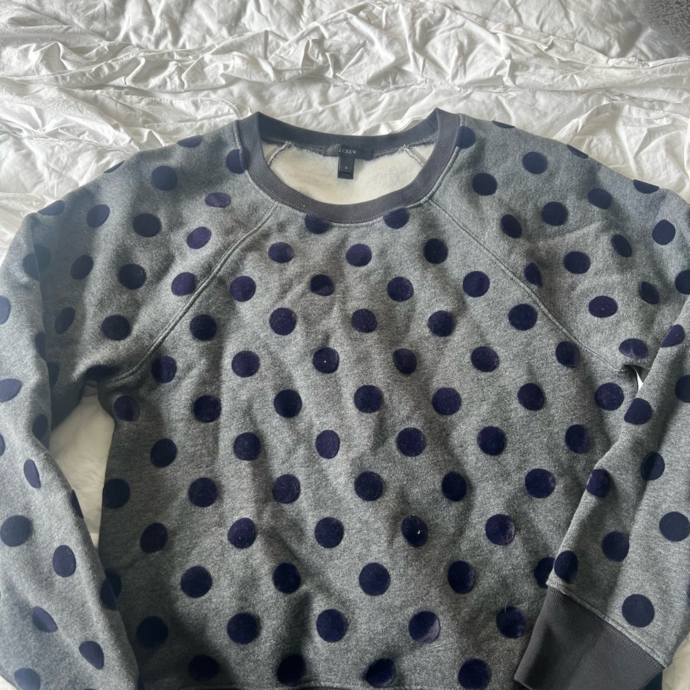 J. Crew Gray and Navy Crew Neck Sweater